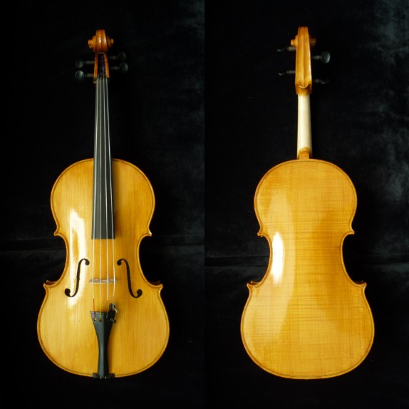 Viola #3